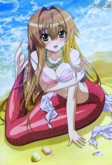 BUY NEW seto no hanayome - 138206 Premium Anime Print Poster